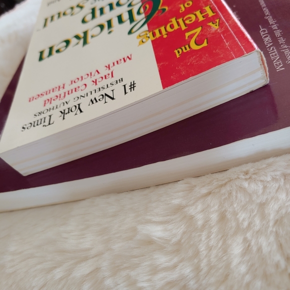 Chicken Soup for the Soul - A 2nd Helping - Picture 3 of 6